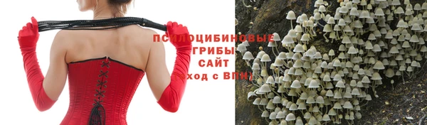 индика Лихославль