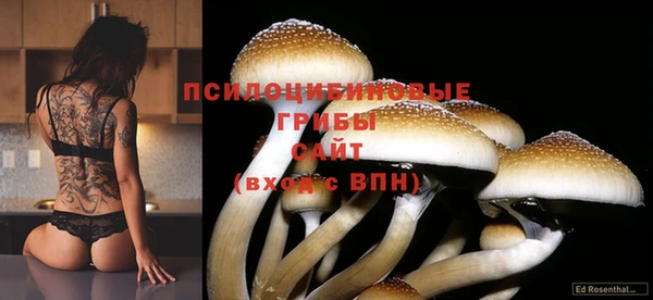 прущие крисы Ладушкин