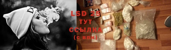индика Лихославль
