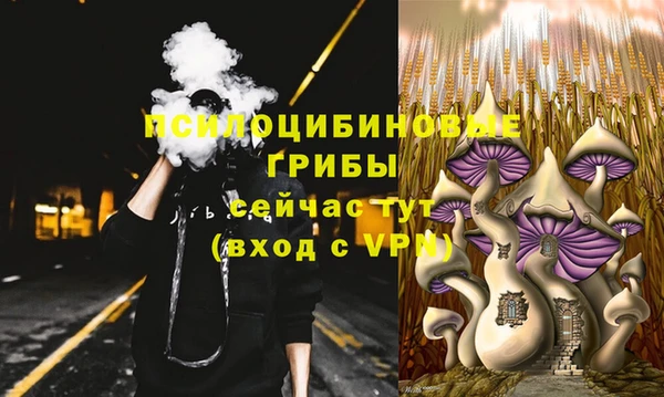 прущие крисы Ладушкин