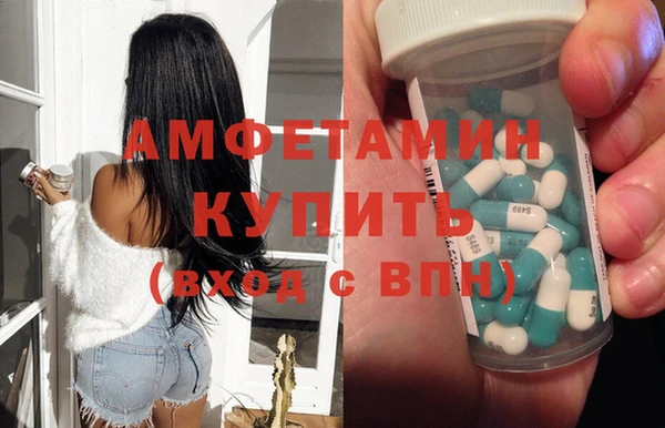 прущие грибы Лабытнанги