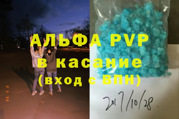 прущие грибы Лабытнанги