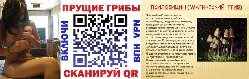 где найти наркотики Ленск Галлюциногенные грибы GOLDEN TEACHER